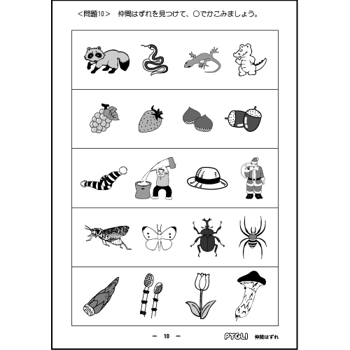 Pygliの幼児教育 小学校受験 株式会社ピグマリオン 能力育成問題集28 仲間はずれ